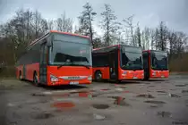 Hier stehen drei Busse der Deutschen Bahn. MZ-DB 4256 (IVECO Crossway) / KO-MV 409 und KO-MV 418 (MAN Lion's City Ü). Aufgenommen auf einen Parkplatz in Prüm.