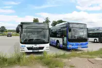 Zwei Racktours MAN Lions am 15.06.19 in Erlensee auf dem ehemaligen Fliegerhorst der US Army. Dort stehen viele Busse von RackTours und BRHVias Bus. Ich durfte durch Nachfrage eines Mitarbeiters Fotos machen