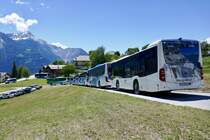 Blick auf die Hecks der parkierten Shuttle Bussen die am 16.6.19 wärend dem Festumzug in Erschmatt parkiert sind.