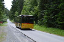 Postbus im Safiental 8.6.2019