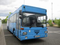 MAN SL 202 (Kfz-Kennzeichen DU-DY 24) der Fa. Ethno-Catering, Duisburg. Dieser Bus (Baujahr 1989) war ursprünglich bei der Koblenzer Elektrizitätswerk und Verkehrs-AG (KEVAG) als Wagen Nr. 132 im Einsatz und trug das Kfz-Kennzeichen KO-RY 132. Zweitbesitzer war die Handwerkskammer Koblenz (Kfz-Kennzeichen KO-HW 398). Aufgenommen am 08.07.2019. Ort: Düsseldorf, Arena-Straße (Messe Halle 8b).