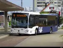 AV - Mercedes Citaro  AG  484830 in Schöftland am 12.07.2019