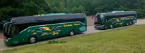 und hier gleich 2 Busse von Schröder Reisen am 15.7.2019 an der Magdeburger Trogbrücke