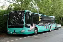 Mercedes Citaro  Wein & Wiesen Sprinter  mit Fahrradanhänger, Würzburg Juli 2019