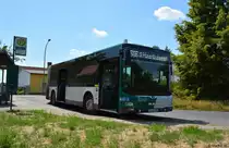 Am 24.07.2018 wurde P-AV 991 in Potsdam Alt Golm abgelichtet. Aufgenommen wurde ein MAN Lion's City G.