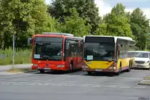 B-EX 547 (Mercedes Benz Citaro Ü Facelift) + L-RL 444 (Mercedes Benz Citaro L) ist am 05.08.2018 für die S-Bahn Berlin GmbH als SEV unterwegs.