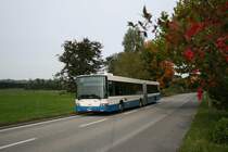 Der Volvo/Hess B10LA Nr. 124 am 8.10.2008 von Perlen auf Haslirain zu fahrend.