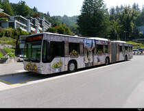 Zugerland - Mercedes Citaro Nr.52 bei der Talstazion der Zugerberg Bahn Zug am 24.08.2019