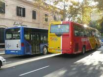 24.11.08,IVECO Irizar EuroRider 35 der tib und MB-Citaro der EMT Nr.027 in Palma de Mallorca.