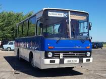 Ikarus 211 der IFA Freunde Trebus aus Deutschland bei Ribnitz-Damgarten am 07.07.2018