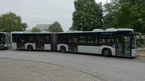 VHH 1319 (HH-V 9019) am 4.9.2019, Pause am U-Bahnhof Steinfurther Allee  / MB Citaro G C2 4-türig, 3-achs. (EZ 2013) /