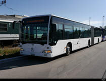 BVB - Mercedes Citaro  Nr.791 BS  52950 ex ?? als Einsatzbus unterwegs Bild vom 17.09.2019