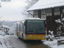 Mercedes CitaroII Nr. 222 am 13.12.08 in Winterthur, Eidberg. Der Chauffeur war indes nicht auf dem Bus. Er ging sich pers�nlich bei den Dorfbewohnern verabschieden und dankte f�r dessen Treue, ein deutliches Zeichen, dass das Postauto zum Dorfbild von Eidberg geh�rte. Die Chauffeure sprachen die Dorfbewohner mit Vornamen an. Ob Stadtbus Winterthur sich je einmal so verankern kann, wie das Postauto, ist eher eine Vision.