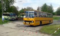 Treffen von Ikarus 263.01 und Ikarus 256.50E am 13.05.2017 in Löbau.