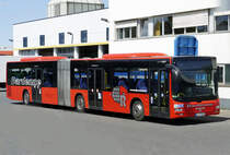 MAN Lion`s City Gelenkbus  Dardenne  in Euskirchen - 29.07.2019