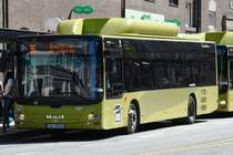 TRONDHEIM (Fylke Trøndelag), 30.05.2018, Bus Nr. 637 der AtB (das ist der kommunale Verkehrsträger) als Buslinie 36 in Richtung Stadtzentrum