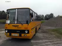 Ikarus 263.01 am 12.05.2018 in Löbau.