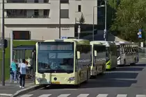 DC 4383 Mercedes Benz Citaro von Demy Cars steht mit anderen Busen an der Bushaltestelle nahe der „St�replaz“ in der Stadt Luxemburg. Okt. 2019
