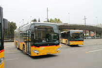 Postauto/Regie Porrentruy JU 52225 (Mercedes Citaro C2 O530K) am 22.10.2019 beim Bhf. Porrentruy