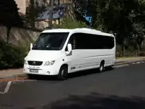 Mercedes-Benz 816 D / Ferqui Toro am 01.10.2019 in Zittau