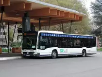 Lahr Schwarzwald - 30.10.2019 : Citaro C2 mit 20 Jahre TGO Ortenaulinie Werbung am ZOB.