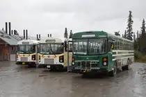 Blue Bird Autobuse 160 001, 160 262 und 120 562 auf einem Rastplatz im Denali Nationalpark. Die Aufnahme stammt vom 15.08.2019.