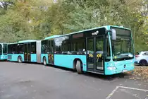 Autobus Sippel Mercedes Benz Citaro 1 Facelift G am 02.11.19 in Frankfurt Oberforsthaus 