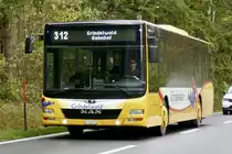 MAN Lions City 'BE 525 871' von Grindelwald Bus als Bahnersatz mit Reisenden nach Grindelwald bis zum Bahnhof Zweilütschinen, am 2.11.19 bei der Abzweigung Zweilütschinen.