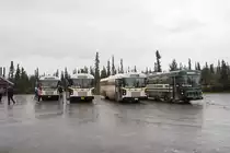 Blue Bird Autobuse stehen von links: 180 476, 160 001, 160 262 und 120 562 auf einem Rastplatz im Denali Nationalpark. Die Aufnahme stammt vom 15.08.2019.