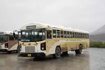 Blue Bird Autobus 160 003 auf einem Rastplatz im Denali Nationalpark. Die Aufnahme stammt vom 15.08.2019.