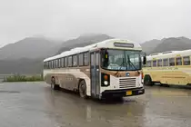 Blue Bird Autobus 180 474 auf einem Rastplatz im Denali Nationalpark. Die Aufnahme stammt vom 15.08.2019.