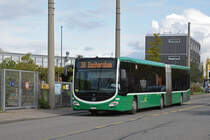 Mercedes Citaro 7005, auf der Linie 38, verlässt die Haltestelle Rankstrasse. Die Aufnahme stammt vom 09.11.2019.