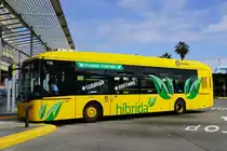 Vectia Veris 12  Guagua Las Palmas de Gran Canaria , November 2019