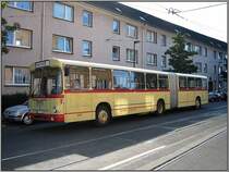 Diesen historischen MAN-Gelenkbus vom Typ SG 192 hat die D�sseldorfer Rheinbahn am Tag der offenen T�r im Stra�enbahndepot Steinberg am 14.09.2008 pr�sentiert.