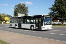 Bus Rodewisch / Bus Vogtland: Mercedes-Benz Citaro der Göltzschtal-Verkehr GmbH Rodewisch (GVG), aufgenommen im Oktober 2019 am Busbahnhof von Rodewisch.
