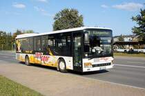 Bus Rodewisch / Bus Vogtland: Setra S 315 NF der Göltzschtal-Verkehr GmbH Rodewisch (GVG). Hierbei handelt es sich um einen Leihwagen der Reichert - Bus GmbH aus Muldestausee (Gemeinde in Sachsen-Anhalt). Vorheriger Besitzer des Fahrzeuges war der Omnibusbetrieb Holger Zentgraf aus Ilmenau (Thüringen). Aufgenommen im Oktober 2019 am Busbahnhof von Rodewisch.