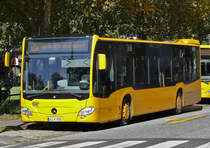 MB O 530 Citaro C2  Kolf , SU-K855 in Bonn - 14.09.2019