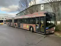 RT-EW 1080 (Baujahr 2018) vom Reutlinger Stadtverkehr am 18.1.2020 in Reutlingen, Am Heilbrunnen
