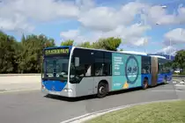 Bus Spanien / Bus Mallorca: Mercedes-Benz Citaro G (Wagen 229) der Empresa Municipal de Transports de Palma de Mallorca (EMT), aufgenommen im Oktober 2019 im Stadtgebiet von Palma de Mallorca.