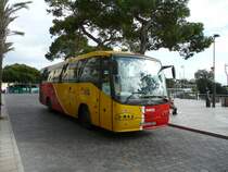 22.11.08,IVECO Irizar der tib BUSred in Porto Cristo auf Mallorca/Spanien.