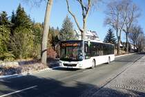 Bus Schwarzenberg / Bus Grünhain-Beierfeld / Bus Erzgebirge: MAN Lion's City Ü der RVE (Regionalverkehr Erzgebirge GmbH), aufgenommen im Dezember 2019 im Stadtgebiet von Grünhain-Beierfeld.