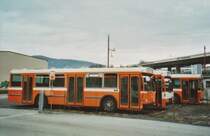 AMSA Chiasso Nr. 15/TI 145'615 Saurer/Hess SH am 9. Dezember 2008 Balerna, Depot
