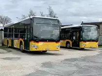 Zwei PostAuto MB C2 LE am 17.3.20 bei Interbus Yverdon parkiert.