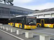 Postauto/PU Steiner Nr. 2 (MAN A20 Lion's City Ü) am 3.3.2020 beim Bhf. Bern