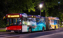 Eine recht auffällige Werbung hatte vor einiger Zeit das Unternehmen Schauinsland Reisen auf diversen Bussen und Bahnen der Rheinbahn, auch in unterschiedlichen Ausführungen. Im Juni 2018 warb Wagen 8136 der Rheinbahn beispielsweise für Urlaub in der Türkei, und zeigt sich hier auf der Linie 785 auf dem Pausenplatz an der Heinrich-Heine-Allee