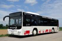 MAN Lion's City LE Ü  Hetzler , Hochstadt (Pfalz) Mai 2020