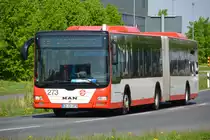 28.04.2018 | Brandenburg - Schönefeld (ILA) | MAN Lion's City G | Cottbusverkehr | CB-CV 273 |