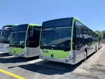 Neue MB C2 hybrid (122 und 123) für die Busland AG am 18.5.20 bei Evobus in Winterthur Wülflingen.