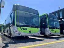 Neue MB C2 hybrid (122 und 123) für die Busland AG am 18.5.20 bei Evobus in Winterthur Wülflingen.