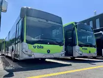 Neue MB C2 hybrid (122 und 123) für die Busland AG am 18.5.20 bei Evobus in Winterthur Wülflingen.